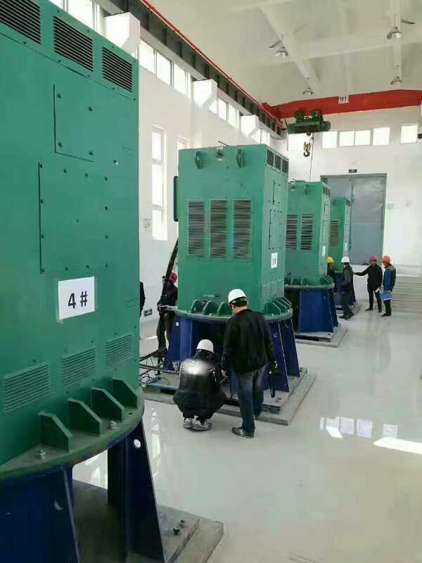 蓬江某污水处理厂使用我厂的立式高压电机安装现场安装尺寸